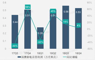 互联网数据中心的财务报告 洞察与挑战